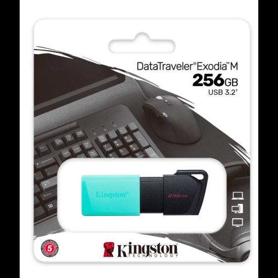 Bild von Kingston 256GB PenDrive M DTXM/256GB USB 3.2 Flash Drive