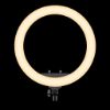 Bild von Rixus RXLG28 Ring Light 36W 19 Inch