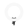 Bild von Rixus RXLG29 Ring Light 48W 18 Inch White